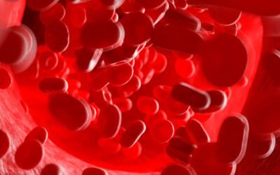 Efficacia di un trattamento prolungato di anticoagulante orale nella prevenzione degli eventi tromboembolici e nella riduzione del sanguinamento