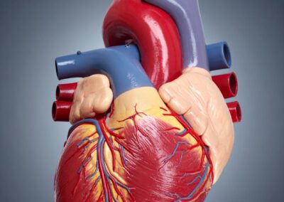 Timing and combinations of cardiovascular diseases in survivors of childhood, adolescent, and young adulthood cancer
