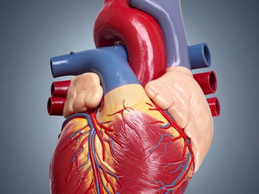 Timing and combinations of cardiovascular diseases in survivors of childhood, adolescent, and young adulthood cancer